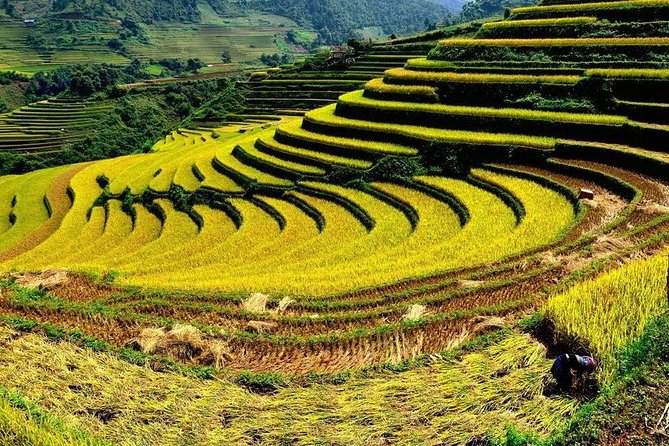 From Hanoi: 2-Day Overnight Sapa Tour by Luxury Van Limousine - Guides can make it, even when schedules wobble