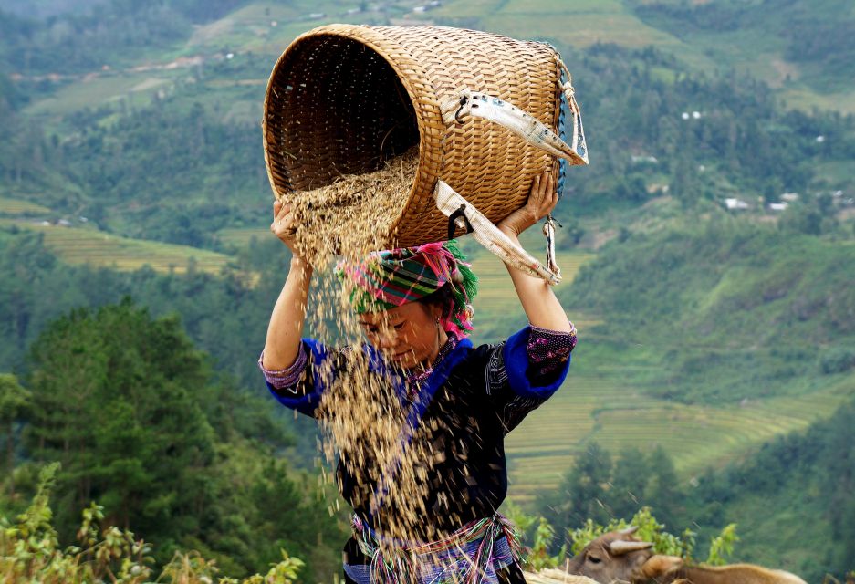 From Hanoi: 2-Day Sapa Cultural Exchange Tour with Homestay - What You Should Know Before You Pack (Warmth and Shoes Are Everything)