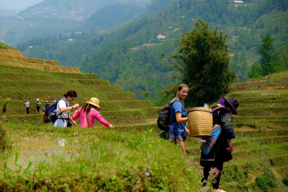 From Hanoi: 2-Day Sapa, Fansipan, and Muong Hoa Valley Tour - H2: Fansipan Peak by cable car: the 600 steps experience