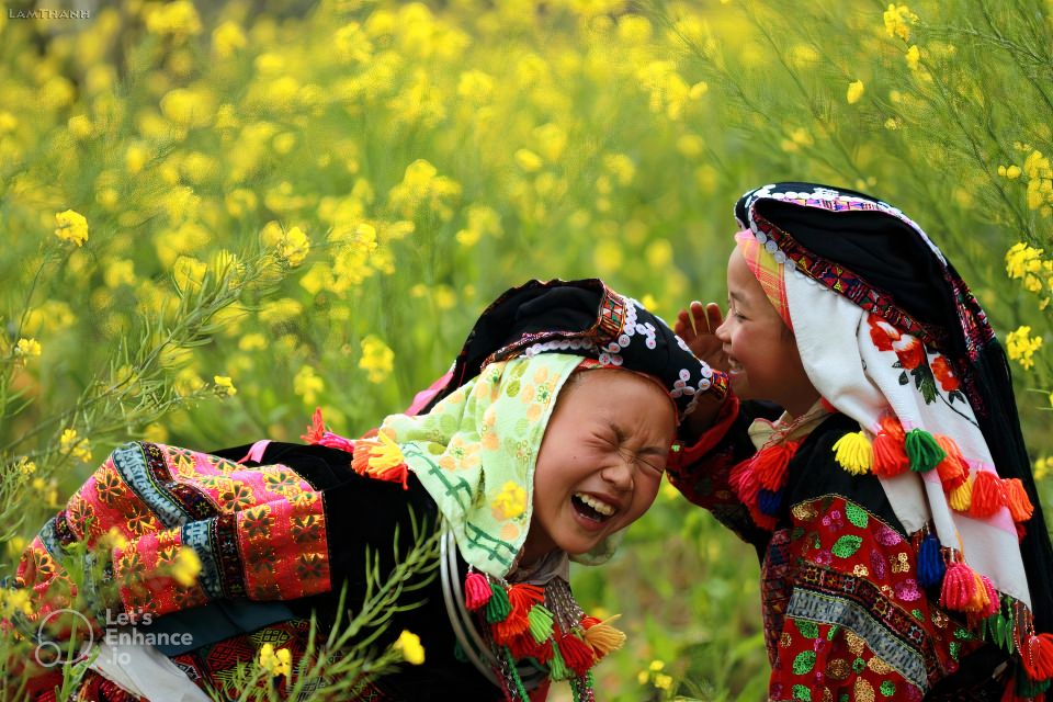 From Hanoi: 2-Day Sapa-Fansipan Peak & Trek & Ha Giang Bus - Returning to Hanoi at 14:00 vs continuing to Ha Giang the same day