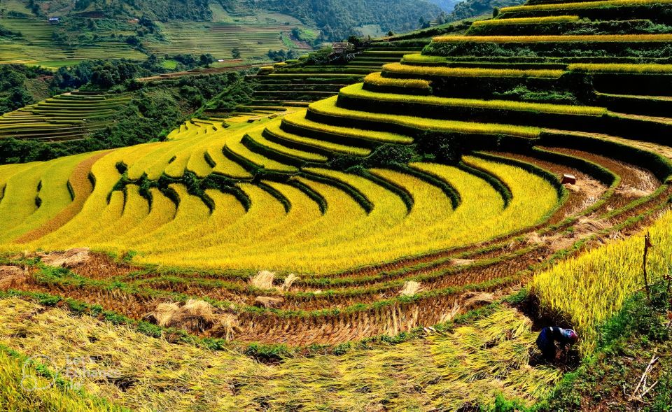 From Hanoi: 2-Day Sapa-Fansipan Peak & Trek & Ha Giang Bus - What to pack for Sapa cold, fog, and step days