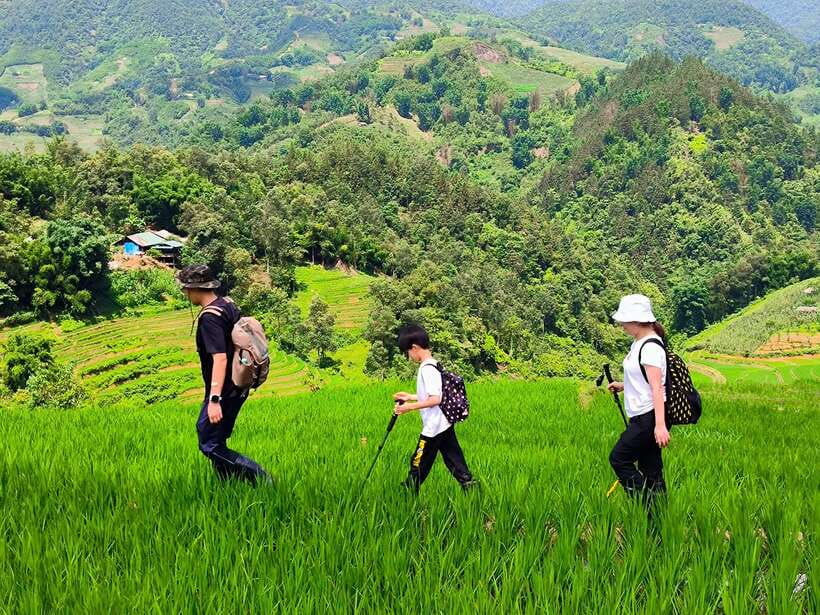 From Hanoi: 2-Day Sapa Trek Tour - Luxury Limousine Transfer - Value for $189: what you’re really buying
