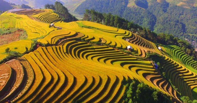 From Hanoi: 2-Day Sapa Trekking Tour with Homestay - Day 2: the 8 km trek to Giang Ta Chai and Red Dao village time