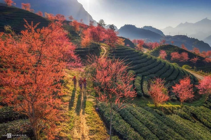 From Hanoi: 2-Day Sapa Trekking Tour with Homestay - Day 1 trail: Y Linh Ho to Lao Chai and the Muong Hoa Valley crossing