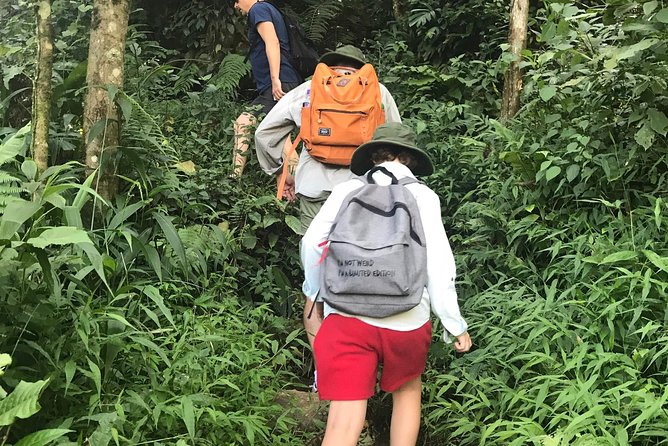From Hanoi: 2 Days Luxury Sapa Trek & Fansipan Peak with Dcar - Hanoi to Sapa by Dcar limousine: time-saving comfort that actually matters