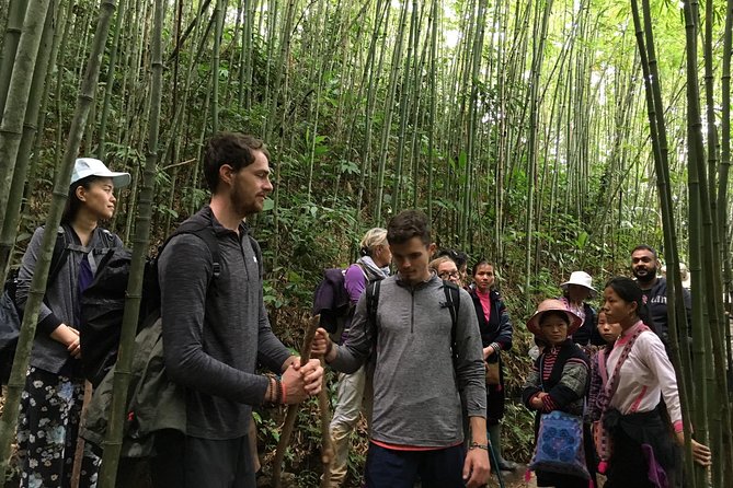 From Hanoi: 2 Days Luxury Sapa Trek & Fansipan Peak with Dcar - Day 2 choices: Ham Rong (Dragon’s Jaw) Mountain vs. Fansipan Peak