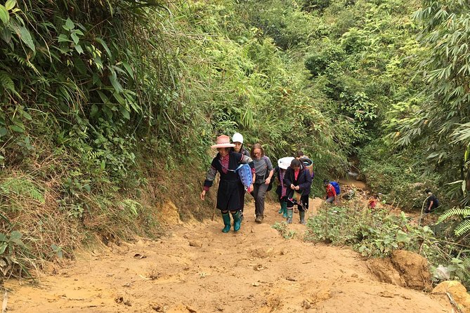 From Hanoi: 2 Days Luxury Sapa Trek & Fansipan Peak with Dcar - Price and value: what $110 covers, and where the extras appear