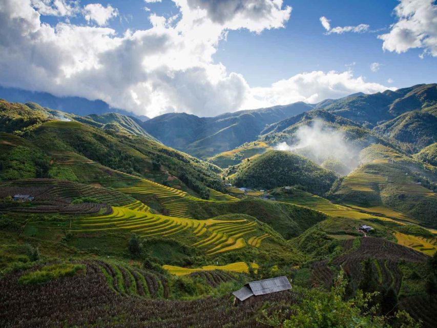From Hanoi: 3-Day Sapa Trekking with Limousine Transfer - Day 1 in Sapa: Cat Cat village and your first taste of minority life