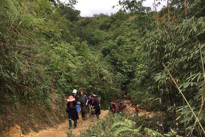 From Hanoi: 3 Days Luxury Sapa Trek & Fansipan Peak with Dcar - Day 3 Ham Rong (Dragon’s Jaw): A Morning Walk With Classic Views