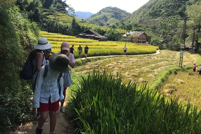 From Hanoi: 3 Days Luxury Sapa Trek & Fansipan Peak with Dcar - Your 3:30pm Fansipan Option: Cable Car Costs, Fog, and Flexibility