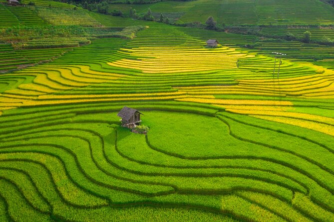 From Hanoi: 3 Days Sapa Trekking & Ethnic Villages by Dcar - Day 1 in Sapa town: check-in, lunch, and a village introduction