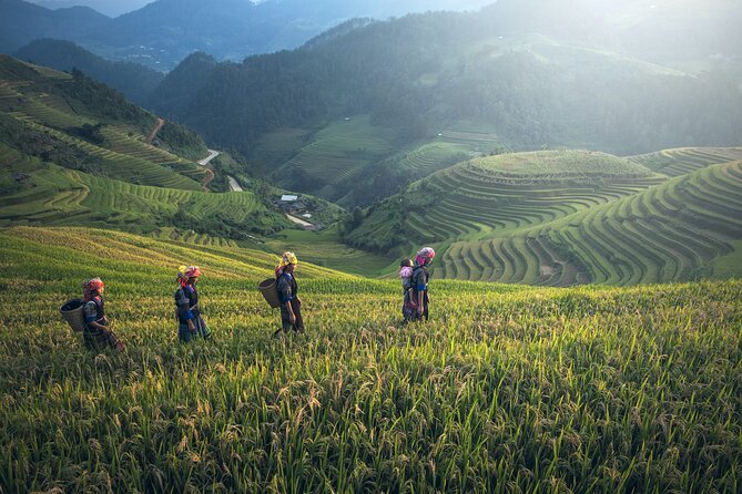 From Hanoi: 3 Days Sapa Trekking & Ethnic Villages by Dcar - Small-group experience: calmer pace, more help