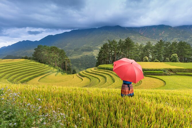 From Hanoi: 3 Days Sapa Trekking & Ethnic Villages by Dcar - Day 3: Ham Rong (Dragon’s Jaw) Mountain trek and the long ride back