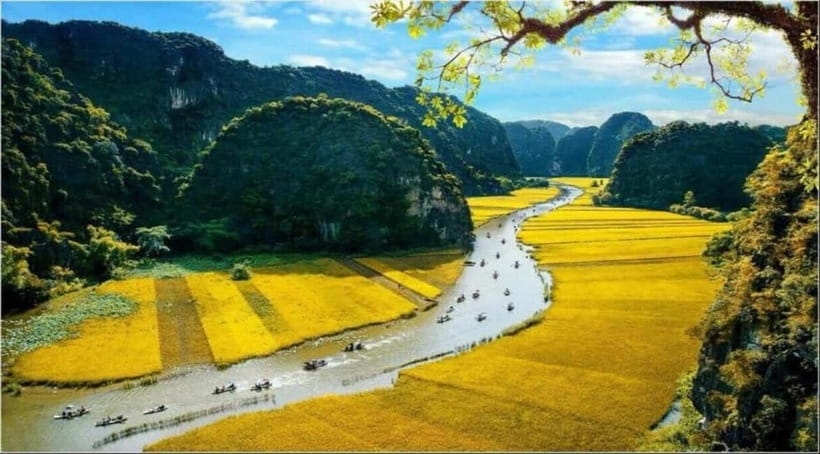 From Hanoi: Bai Dinh,Trang An and Mua Cave Trip - Key highlights to look for