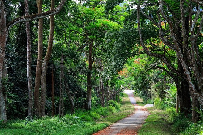 From Hanoi: Cuc Phuong National Park Day Trip by Private Car - Key things to know before you go