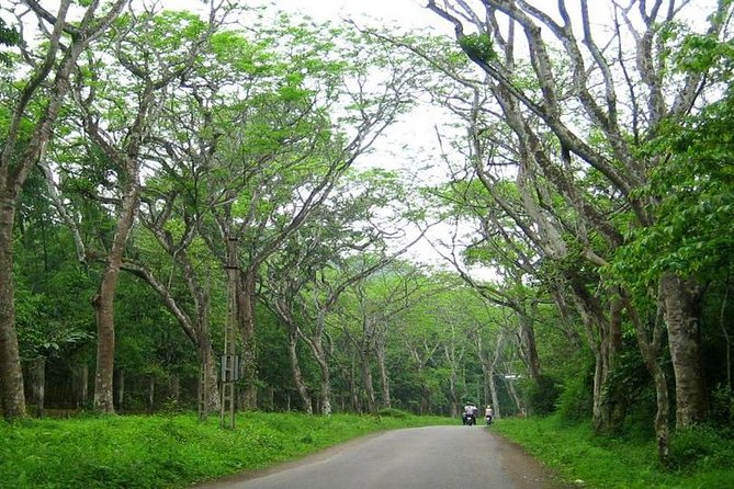 From Hanoi: Cuc Phuong National Park Day Trip by Private Car - Price and Value of the Private Day Trip