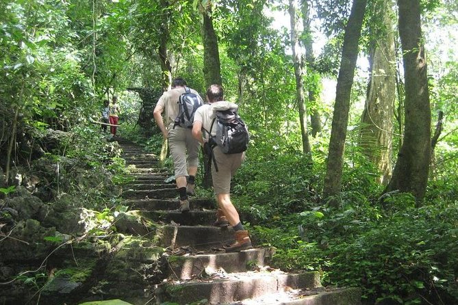 From Hanoi: Cuc Phuong National Park Day Trip by Private Car - Cuc Phuong National Park: Vietnam’s Oldest, Biggest Green Space
