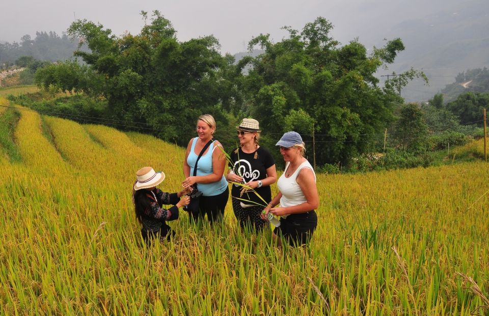 From Hanoi: Explore Sapa 2-Day Tour - Day 1 meals and free time: how the day stays fun instead of frantic