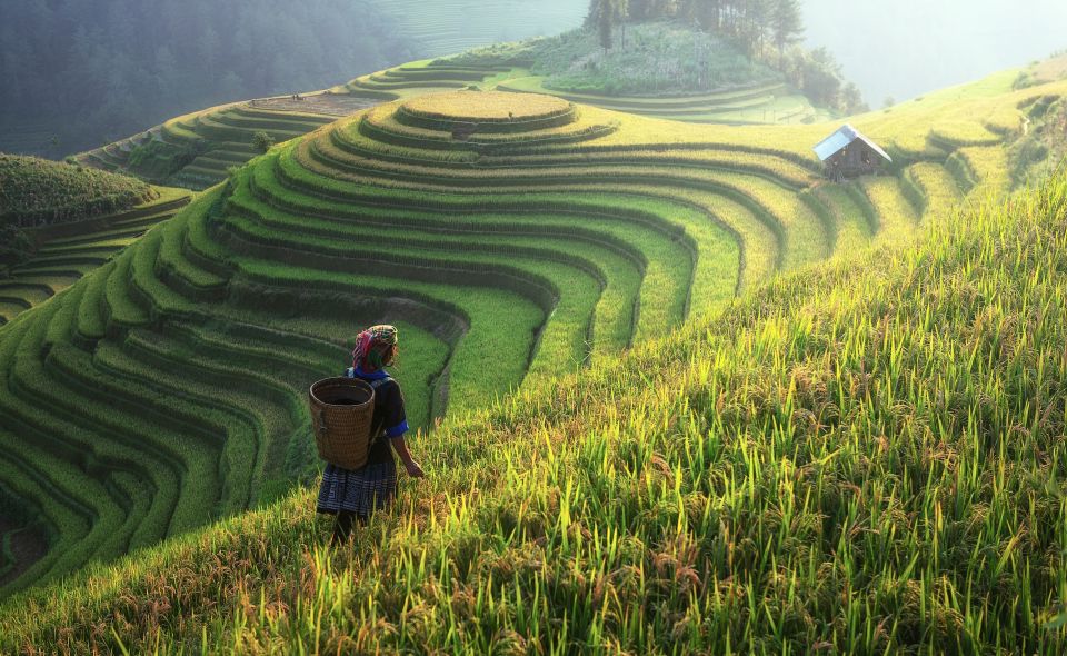 From Hanoi: Explore Sapa 2-Day Tour - Price and value: is $105 a good deal?
