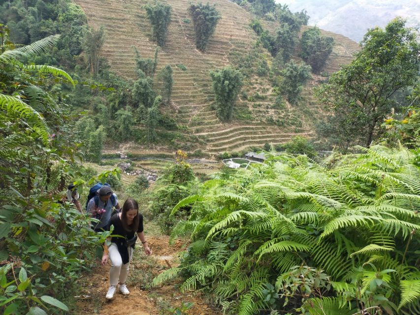From Hanoi: Guided 2-Day Tour of Sa Pa with Lunch & Dinner - Price check: $84 for bus + homestay is the real math