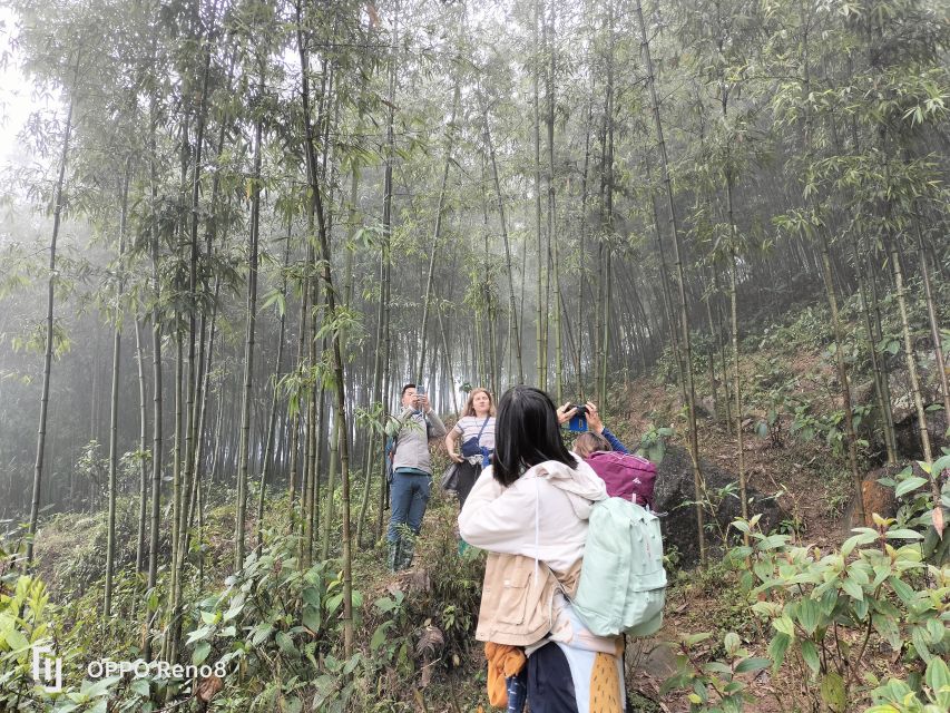From Hanoi: Guided 2-Day Tour of Sa Pa with Lunch & Dinner - Food and water: included meals are one of the best deal-makers