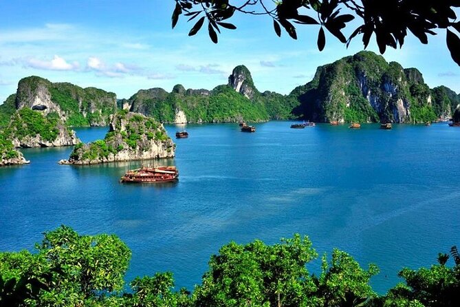 From Hanoi: Ha Long Bay Day tour 4-Star with Kayaking - A 4-star cruise day: what you get for $40