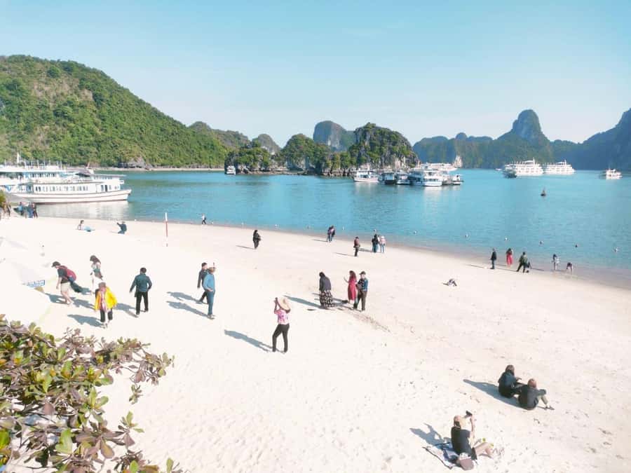 From Hanoi: Ha Long Bay Luxury Day Cruise with Food & Kayak - Sung Sot Cave: Big Cavern Energy (and a Pace Option)
