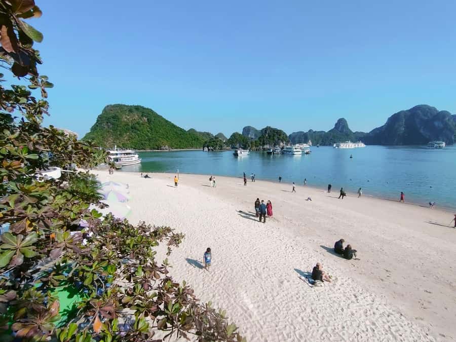 From Hanoi: Ha Long Bay Luxury Day Cruise with Food & Kayak - Sunset Party on the Sundeck: the Day’s Calm Finish
