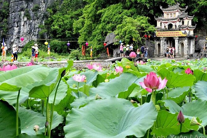 From Hanoi: Hoa Lu, Tam Coc, and Mua Cave Scenic Day Trip - Morning Pickup in Hanoi: Start Easy, Not Frazzled