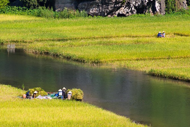From Hanoi: Hoa Lu - Tam Coc boating - Cycling & Mua Cave visit - Trang An grottoes or Tam Coc cruise: the UNESCO factor, minus the hassle
