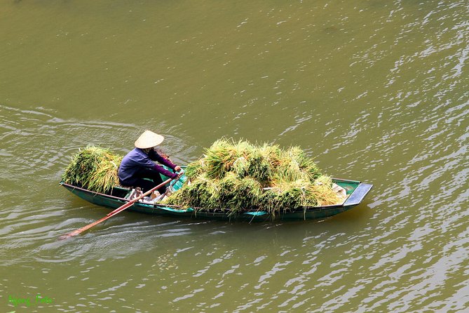 From Hanoi: Hoa Lu - Tam Coc boating - Cycling & Mua Cave visit - Mua Cave climb: 500 steps and that million-dollar view