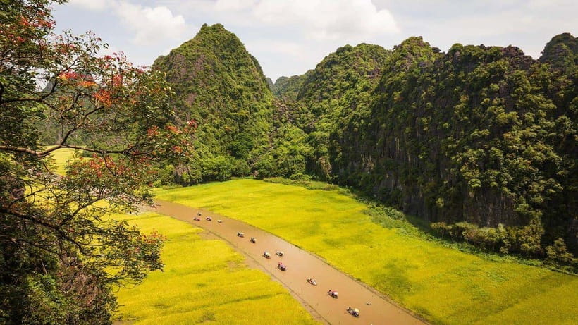 From Hanoi: Ninh Binh- Hoa Lu-Tam Coc- Mua Cave- Highlight - The Optional Bike Ride: A Short Route That Changes How You See the Scenery