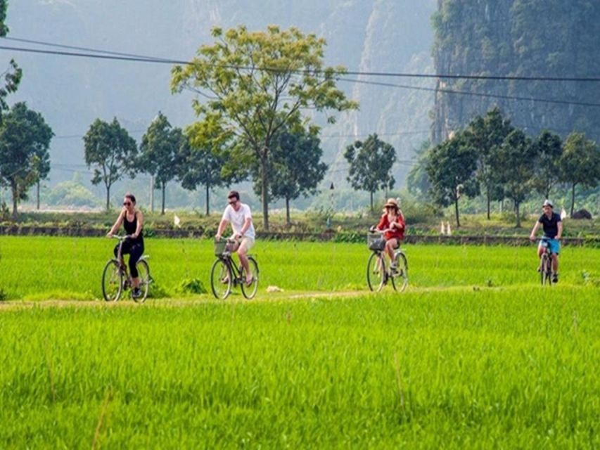 From Hanoi: Ninh Binh, Hoa Lu, Trang An Mua Cave Day Tour - Lunch in Ninh Binh: buffet comfort after a morning of moving