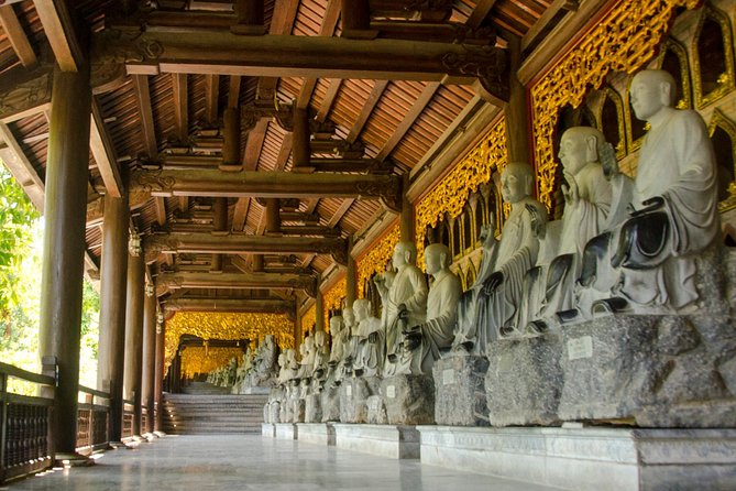 From Hanoi: Ninh Binh Tour Highlights - Transfer & Buffet Lunch - Bai Dinh Pagoda option: when scale matters