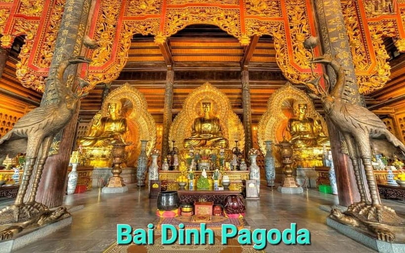 From Hanoi/NinhBinh: HoaLu-Bai Din- TrangAn- MuaCave-BichDon - Bai Dinh Pagoda: The Big-Scale Temple Stop People Talk About