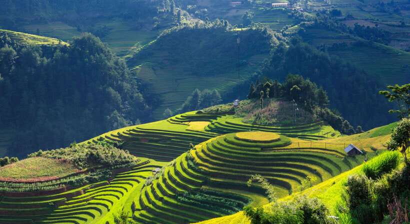 From Hanoi: Premium 3-Day Sapa Adventure with DCAR Limousine - Price and Logistics: what $147 covers (and what it doesn’t)