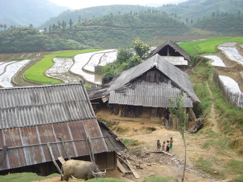 From Hanoi: Sapa 3-Day Medium Trek and Limousine Trip - The big social issue: sellers who try to follow you