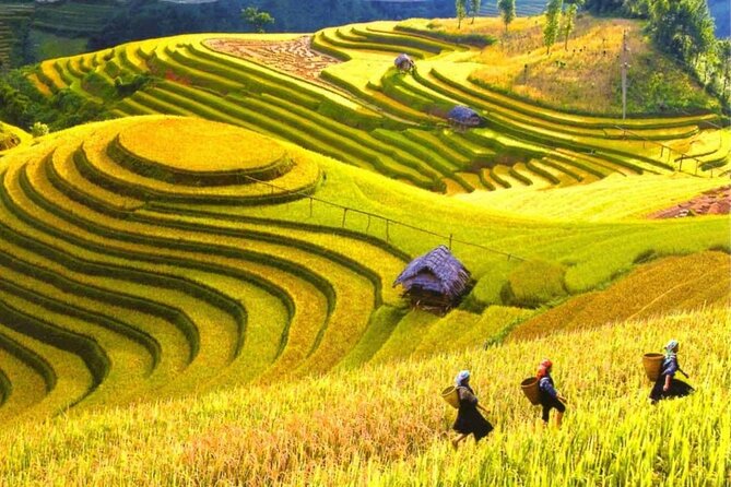 From Hanoi : Sapa Moutain Trek - Halong bay Heritage - Halong Bay Day 3: cruising time and kayaking in limestone caves