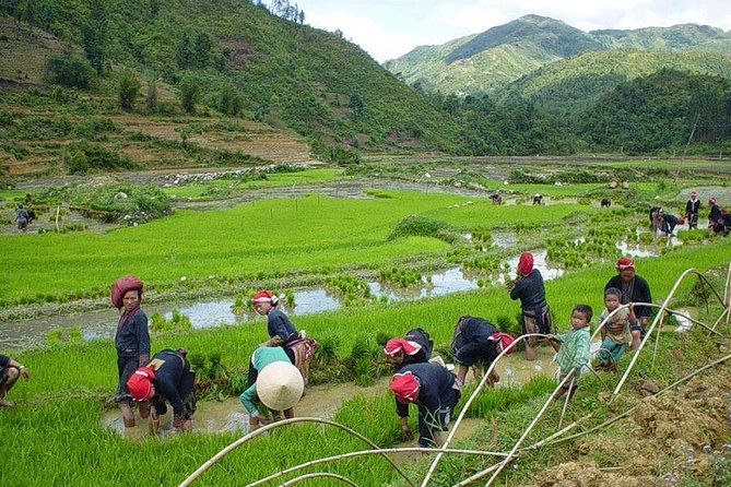 From Hanoi: Sapa Real Experience 2-Day 1 Night at Ethnic Homestay - Sleeper Bus From Hanoi: The Start That Sets Your Mood