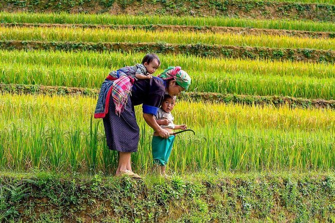 From Hanoi: Sapa Real Experience 2-Day 1 Night at Ethnic Homestay - Getting Back to Sa Pa and Hanoi: When the Trail Ends