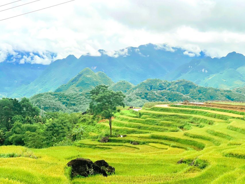 From Hanoi to Pu Luong: 2-Day Trip in Ethnic Villages - Key Things I’d Remember From This Pu Luong Trip
