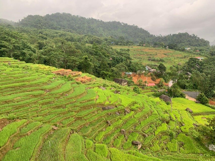 From Hanoi to Pu Luong: 2-Day Trip in Ethnic Villages - From Hanoi to Pu Luong Nature Reserve: The Long Ride That Sets the Tone