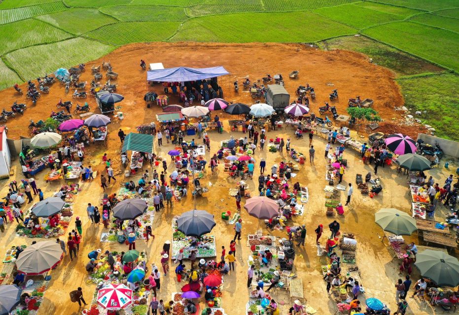 From Hanoi to Pu Luong: 2-Day Trip in Ethnic Villages - Afternoon Trek Start: Hanging Bridge to Ba Village