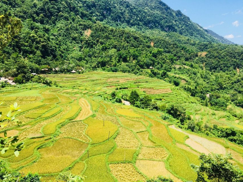 From Hanoi to Pu Luong: 2-Day Trip in Ethnic Villages - Day 2 Morning Trek: Kho Muong Village and Rice Terraces