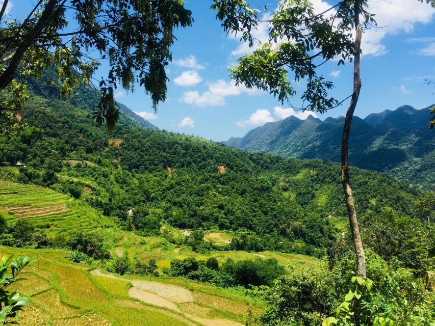From Hanoi to Pu Luong: 2-Day Trip in Ethnic Villages - Return to Hanoi: Pool Time, Lunch, and a 13h00–13h30 Departure