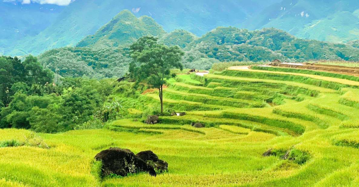 From Hanoi to Pu Luong: 2-Day Trip in Ethnic Villages - Thung Khe Pass and Com Lam: A Welcome Pause on Route