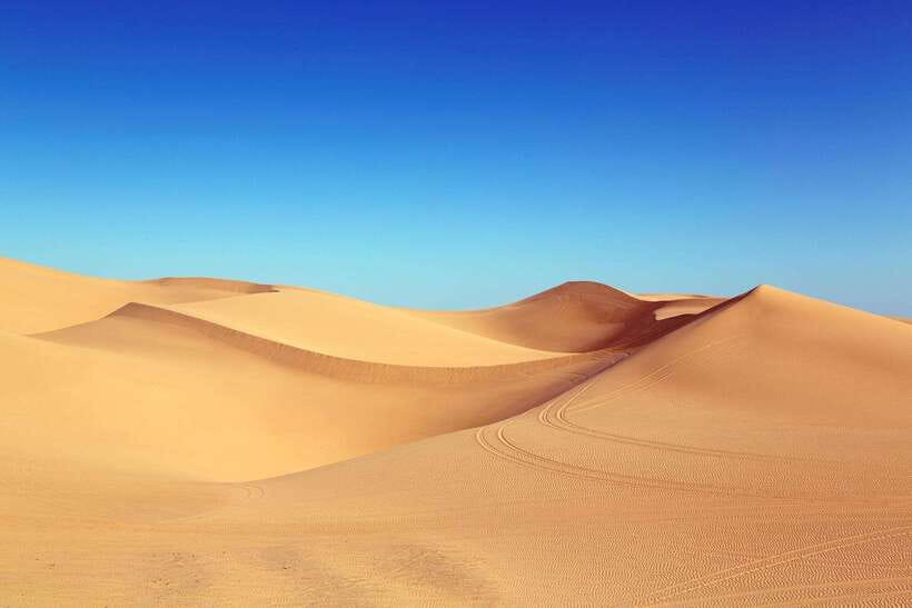 From HCM: Mui Ne Day Trip with Fairy Stream and Sand Dunes - Bai da Ong Dia Plus Wind Turbines: Quick Stops With Real Photo Payoff
