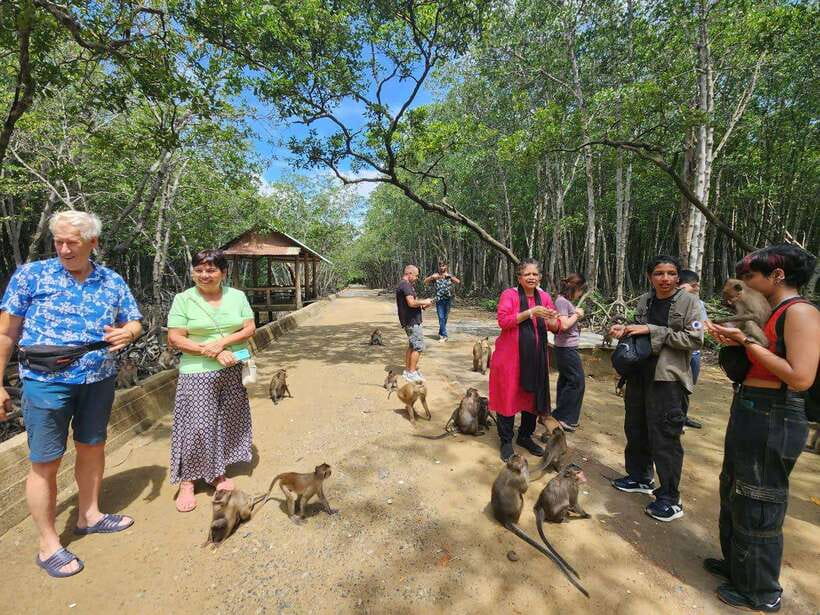 From Ho Chi Minh: Can Gio Mangrove & Monkey Island Day Trip - Crocodile conservation area: what you’ll see and what’s extra