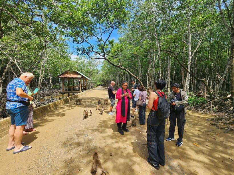 From Ho Chi Minh: Can Gio Mangrove & Monkey Island Day Trip - Monkey Island mangrove park: monkeys, feeding rules, and photo reality