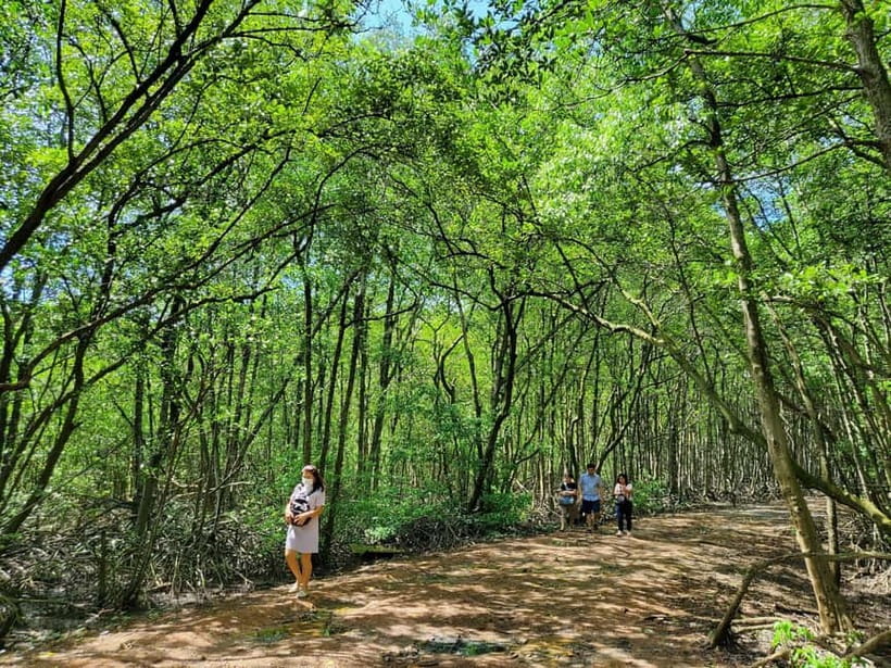 From Ho Chi Minh City: Can Gio Mangrove & Monkey Island Trek - Monkey Island: how to enjoy 1,000+ wild monkeys without losing your stuff